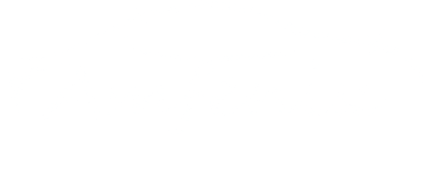 Logo Amfenix